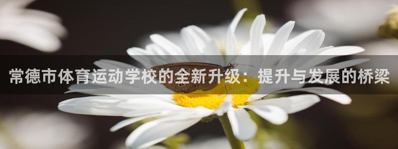oety欧亿体育官网下载招商电话号码是多少啊：常德市