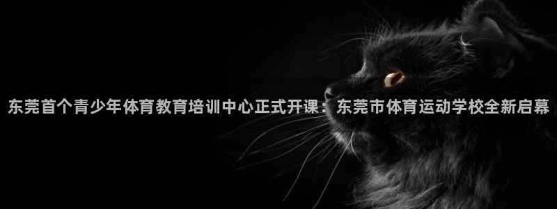 欧亿体育官方平台体育：东莞首个青少年体育教育培训中心