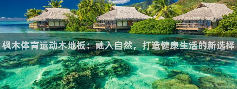 欧亿体育官方正版app娱乐首页网站大全：枫木体育运动