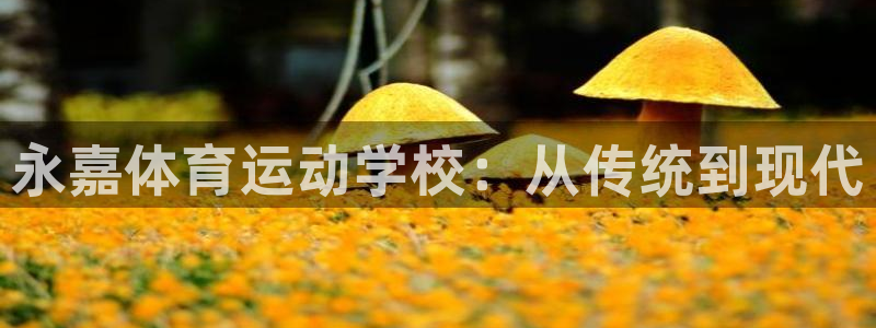 oety欧亿体育官网下载招商电话是多少啊：永嘉体育运