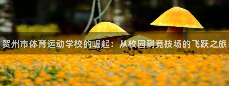 oety欧亿体育官网下载招商电话是多少号码：贺州市体