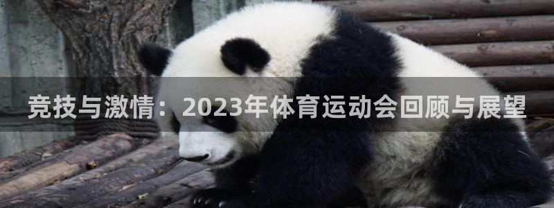 oety欧亿体育官网下载平台：竞技与激情：2023年