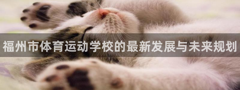 欧亿体育官方正版app集团E.ON：福州市体育运动学