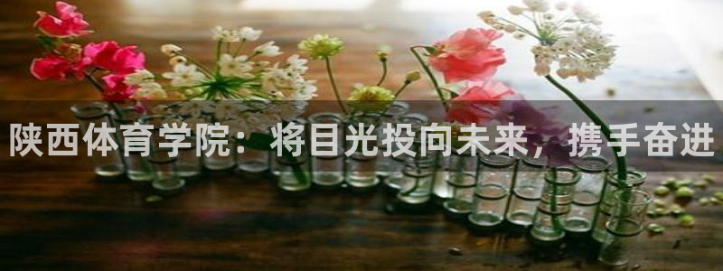 海南oety欧亿体育官网下载：陕西体育学院：将目光投