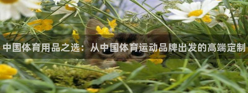 oety欧亿体育官网下载招商电话号码查询是多少：中国体育用品