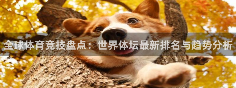 oety欧亿体育官网下载平台注册流程图：全球体育竞技盘点：世