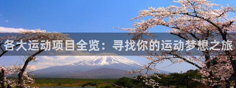 oety欧亿体育官网下载平台注册：各大运动项目全览：