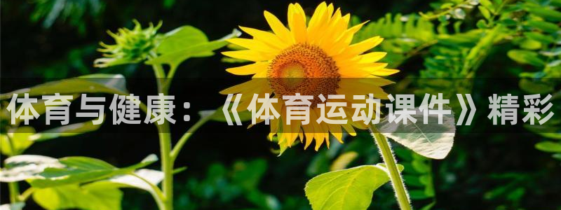 欧亿体育官方正版app开户：体育与健康：《体育运动课件》精彩