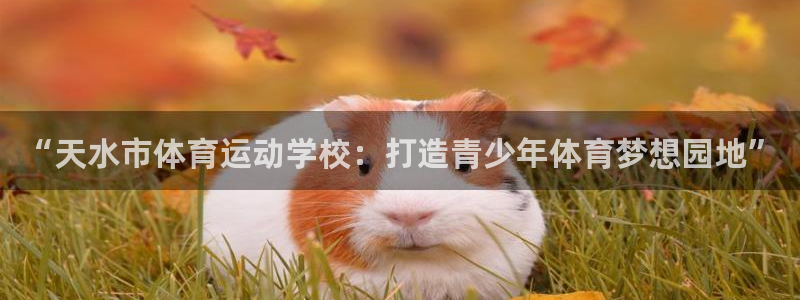 oety欧亿体育官网下载平台注册流程视频：“天水市体育运动学