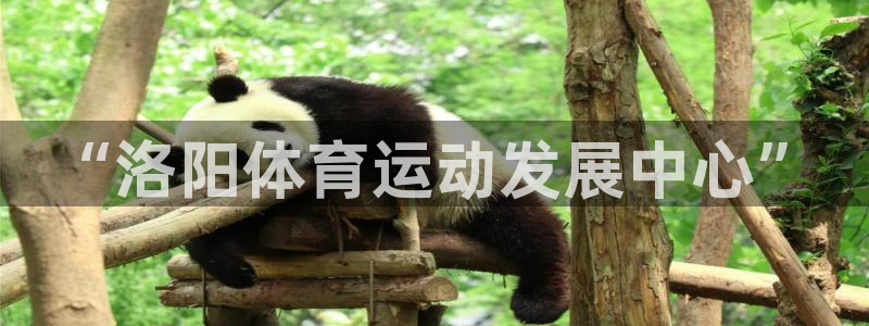 欧亿体育官方正版app五金厂：“洛阳体育运动发展中心”
