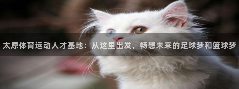 oety欧亿体育官网下载招商电话号码是多少：太原体育