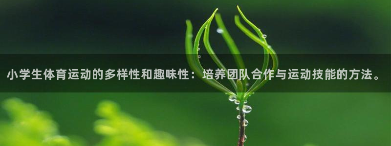 欧亿体育官方正版app代理：小学生体育运动的多样性和趣味性：