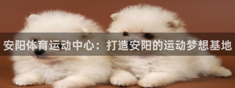 欧亿体育官方平台体育：安阳体育运动中心：打造安阳的运