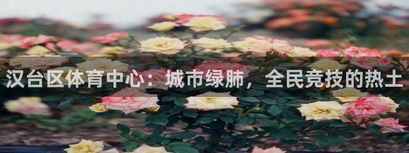 注册欧亿体育官方正版app：汉台区体育中心：城市绿肺