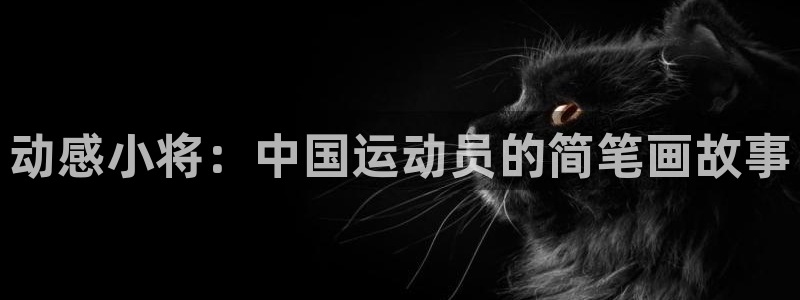 oety欧亿体育官网下载招商电话号码查询：动感小将：中国运动