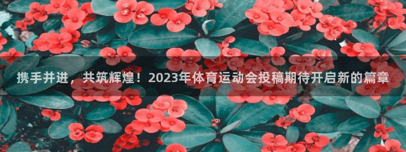 欧亿体育官方正版app代理：携手并进，共筑辉煌！20