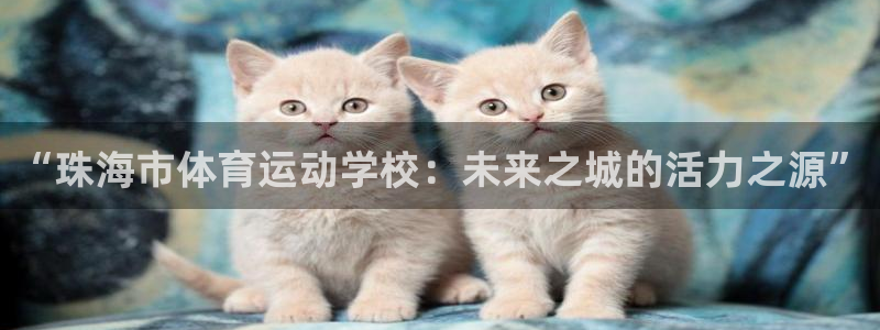 oety欧亿体育官网下载招商：“珠海市体育运动学校：未来之城