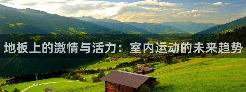 欧亿体育官方正版app娱乐代理怎么样：地板上的激情与