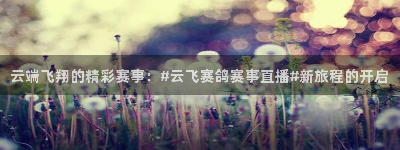 新闻图片