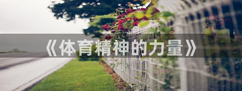 欧亿在线登录注册：《体育精神的力量》
