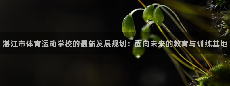 欧亿平台在线登陆注册：湛江市体育运动