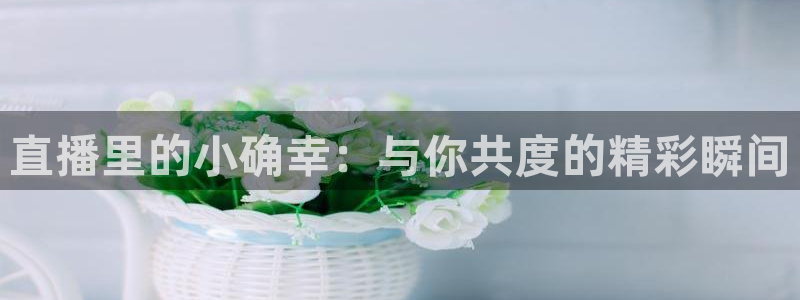 小罗玩球视频：直播里的小确幸：与你共度的精彩瞬间