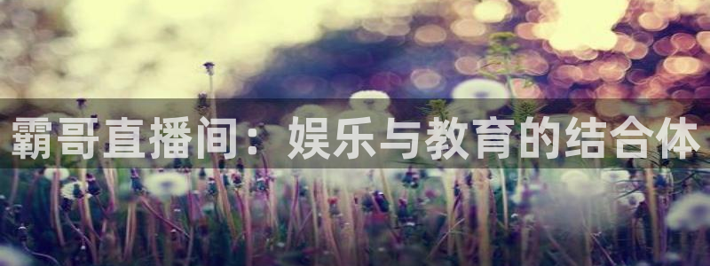 玩球直播nba：霸哥直播间：娱乐与教育的结合体