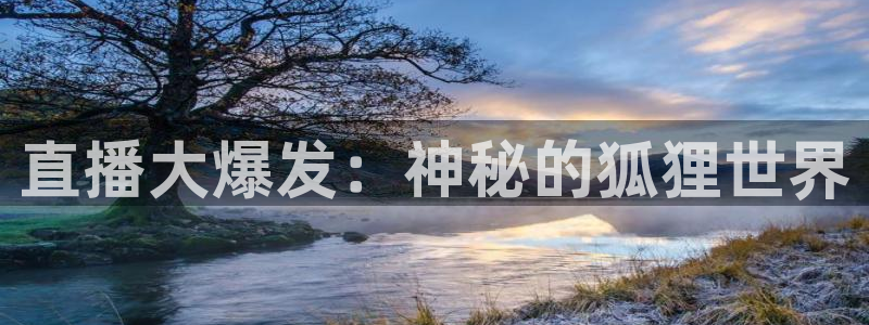 玩球nba直播：直播大爆发：神秘的狐狸世界
