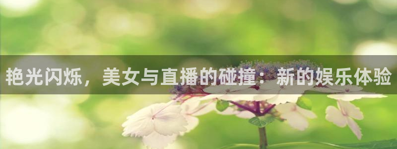 玩球直播在线观看免费观看：艳光闪烁，美女与直播的碰撞：新的娱乐体验