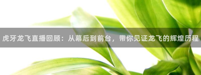 玩球怎么玩：虎牙龙飞直播回顾：从幕后到前台，带你见证龙飞的辉煌历程