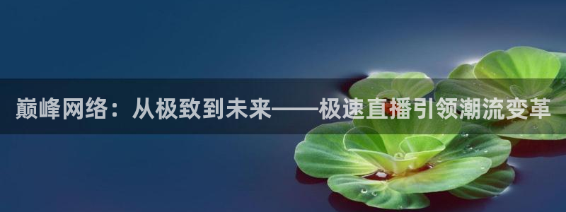 nba直播玩球：巅峰网络：从极致到未来——极速直播引领潮流变革