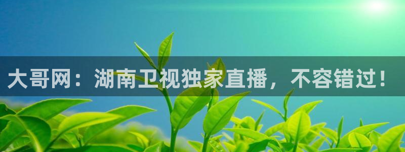 nba总决赛玩球直播：大哥网：湖南卫视独家直播，不容错过！