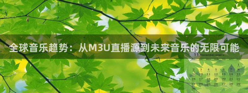 宝宝玩球视频：全球音乐趋势：从M3U直播源到未来音乐的无限可能