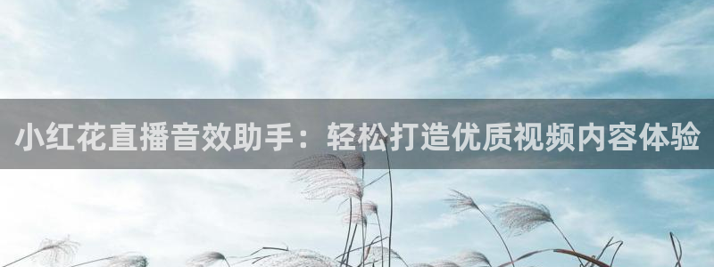 玩球直播看比赛：小红花直播音效助手：轻松打造优质视频内容体验