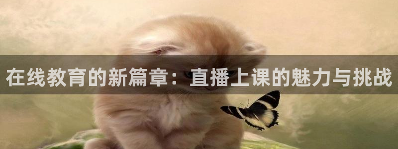 nba总决赛玩球直播：在线教育的新篇章：直播上课的魅力与挑战