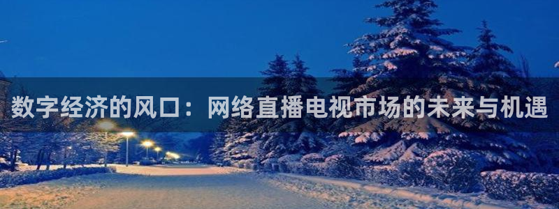 玩球直播免费下载：数字经济的风口：网络直播电视市场的未来与机遇