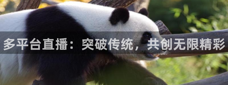 玩球直播官网：多平台直播：突破传统，共创无限精彩