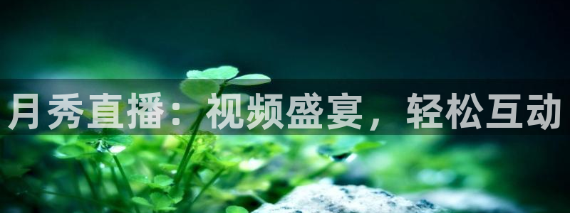 玩球体育app：月秀直播：视频盛宴，轻松互动