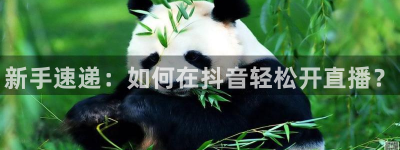 玩球直播app苹果：新手速递：如何在抖音轻松开直播？