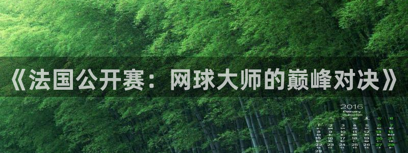 玩球直播app免费下载：《法国公开赛：网球大师的巅峰对决》
